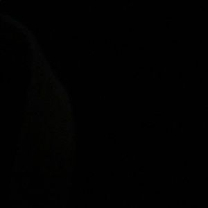 Meet your Posher, Cameron